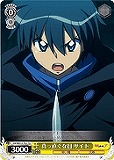【ヴァイス】TD◇真っ直ぐな目 サイト