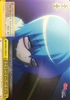 【ヴァイス】ＴＤ）ｂ品番◇わたしのイーヴァルディ