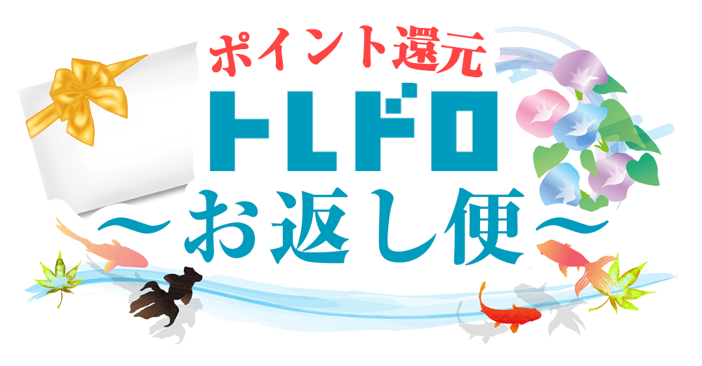 特別商品はこちら