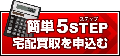 �ȒP5STEP ����˗���\����