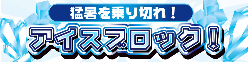猛暑を乗り切れ！アイスブロック！