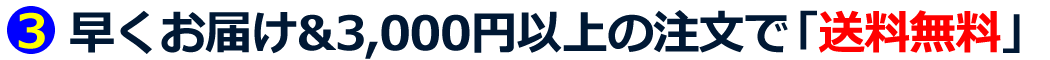 早くお届け＆3,000円以上のご注文で「送料無料」