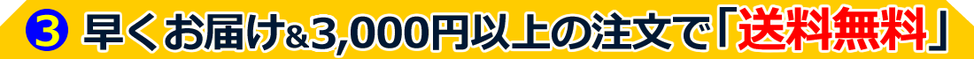 早くお届け＆3,000円以上のご注文で「送料無料」