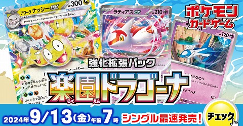 空箱 ポケモン スカーレット・バイオレット ダブルパック 傷付ける